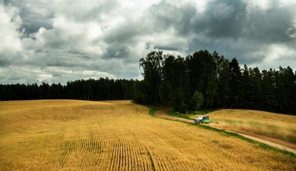 Rally Estonia