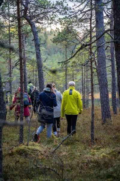 Kõrvemaa