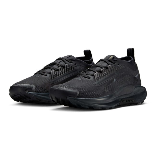 鷹5 NIKE PEGASUS TRAIL 5 GORE-TEX | Jooksujalatsid | Sportland